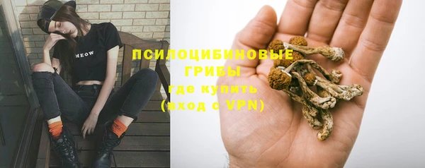 apvp Нязепетровск