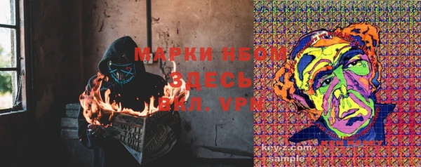 прущие крисы Болхов