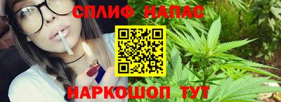 ешки Новозыбков
