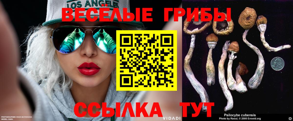 Псилоцибиновые грибы Psilocybe  Вход с VPN  Нефтекамск 