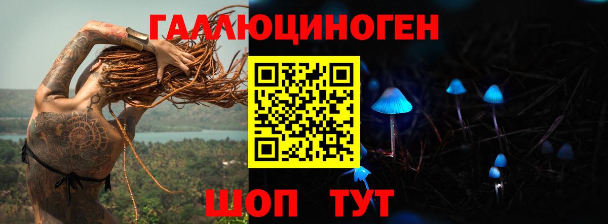 Галлюциногенные грибы Psilocybe Нефтекамск